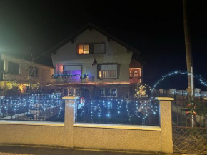 Appartement Entre Strasbourg Et Colmar - Proche d'Europa Park